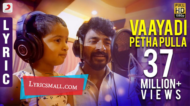 Vaayadi Petha Pulla Song Lyrics